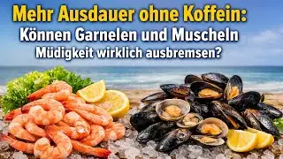 Zelle statt Zucker: Warum Schalentiere nachhaltiger Energie liefern als Booster