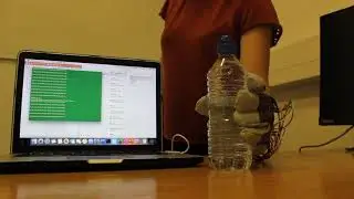Data glove