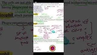 General histology lec 4 طب الاسنان مرحله ثانيه 