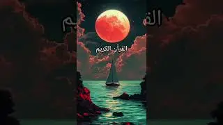 quran reaction in Urdu translation fyp oyonomi#whynomi00 #quran #urdulanguage #quranreaction