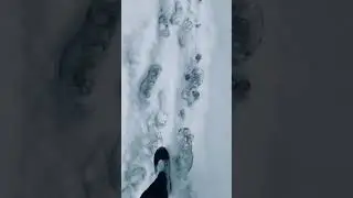 Я ленивый, но дисциплинированный человек (и вы тоже).