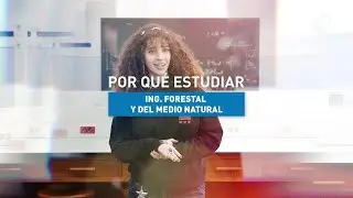 Por qu&eacute; estudiar&hellip; Ingenier&iacute;a de Montes, Forestal y del Medio Natural