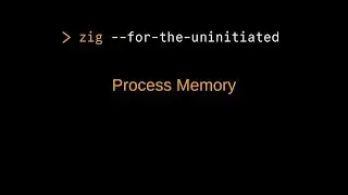 Zig for the Uninitiated: Understanding Process Memory