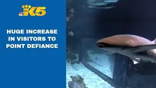 Point Defiance Zoo and Aquarium calls on visitors to protect the environment