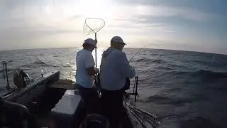 Lake Erie Jigging Walleye Livescope with AA Charters