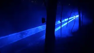 North Forest Lights 5: Memory of Water at Crystal Bridges