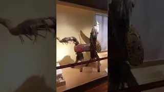  National Museum of Natural Anthropology 