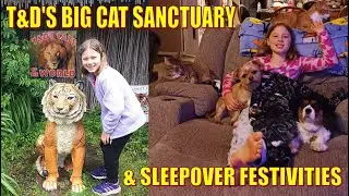 T&D'S BIG CAT SANCTUARY & SLEEPOVER FESTIVITIES