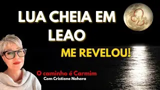 Plantei para o Coletivo e Colhi em Casa: A Prova da Espiral Carmim!