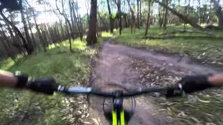 Lysterfield MTB Aneurysm 141122