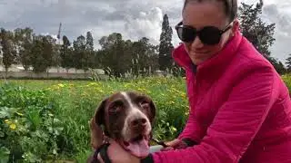 Rescued is my Favorite Breed Malta - Nikol