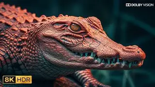 Incredible Jungle & Wildlife | Dolby Vision Ultra HD 4k experiance