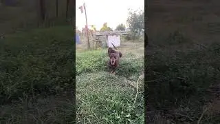 Гарик свободен 