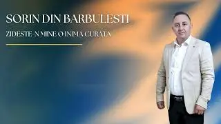 🙏 Sorin din Bărbulești - Zidește-n mine o inimă curată! 🙏(cantare crestina veche)