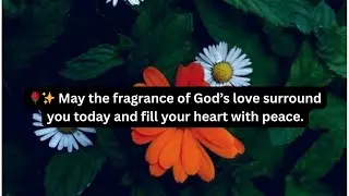 🌹✨ May the fragrance of God&rsquo;s love surround you today and fill your heart with peace.