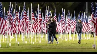 Veterans Day 2020 deals for free meals discounts and more