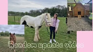 New chicken coop,feed restock.Updates #equestrain #equestrianjourney #fypシ゚viral