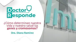 ¿Cómo determinan nuestra vida y nuestra salud los genes y cromosomas? | Dr Responde