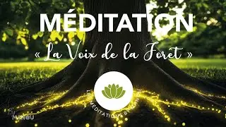 La Voix de la For&ecirc;t 🌳 | 27 min &bull; M&Eacute;DITATION GUID&Eacute;E 🪷 &bull; By Manou 🧿 #meditation #bymanou 