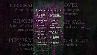 Natural Pain Relief After Injury | Healing with Herbs and Essential Oils 🌿🪻