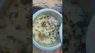 Chicken 🐓 biryani 🍗😋 Recipe#picnicfoods #Patam water fall 🍂🍁🍂ll Short video ll