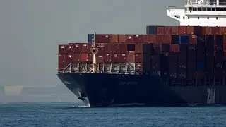 Container Ship《ZIM IBERIA》Crossing the Tsing Ma Bridge in HK 20260115_C0019