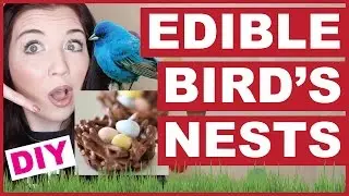 DIY Edible Bird's Nests