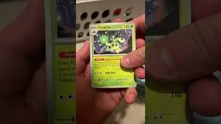 Daily Pok&eacute;mon Pack Opening | 1635 ~ Scarlet and Violet