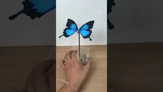 Finally, this version of the mechanical butterfly has been reproduced! ✔️