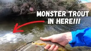 HUGE RAINBOW TROUT TRIED TO EAT A SMALL BROWN TROUT - Fly Fishing the Lower Owens River