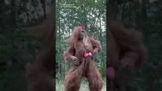 bandariya ka super dance 🤣🤣🤣😃😃😃😃