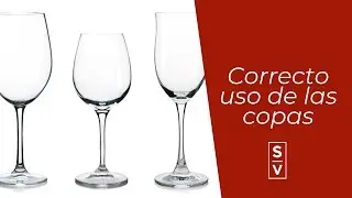 CORRECTO USO DE LOS DIFERENTES TIPOS DE COPAS-Sylvia Villarreal