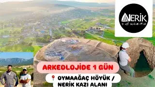 ARKEOLOJİDE 1 GÜN , OYMAAĞAÇ HÖYÜK/NERİK KAZI ALANI - VEZİRKÖPRÜ 