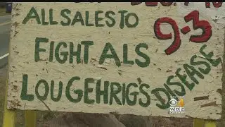Fairhaven Farm Sells Christmas Trees To Fight ALS