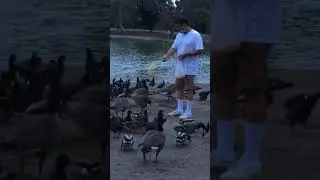 Had to remove fishing line from geese leg Fishing line would&rsquo;ve cut off circulation from goose leg🥺