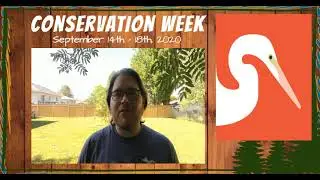 Useful Conservation Apps: 2020 Conservation Week