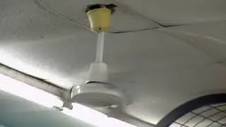 Hampton Bay Industrial Ceiling Fans in an Arcade