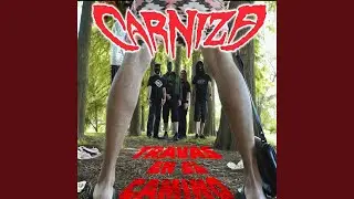 Travas en el Camino