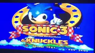 Sonic 3 & Knuckles Blue Knuckles Angel Island Zone