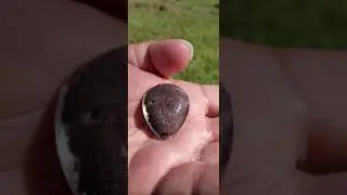10 G Rare Lodolite Included Tiny Manifestation Quartz In Polished Clear Quartz Crystal Has Knicks