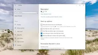 How To Show/Hide Narrator Cursor on Windows 10 [Guide]
