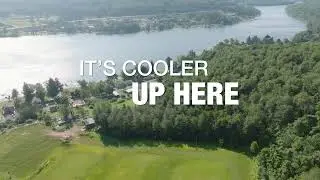 Wisp Summer 2025