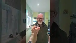 Free healing for your pets large and small