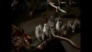 Gurdians Of Ga'Hoole - Battle Cry
