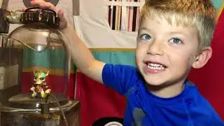 Crosley&rsquo;s Wild Kratts & Crosley&rsquo;s Party