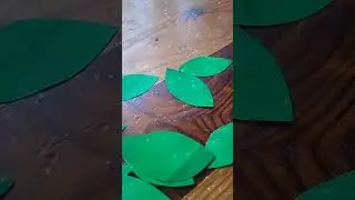 Видела много видео с лианами, решила сделать сво&euml;. #лиана #комната #растения