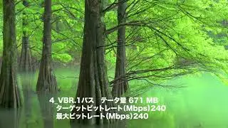 Adobe Media Encoder 書き出し設定 エンコードモード CBR,VBRの画質の違い