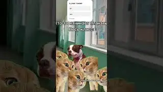 Поставил лайк пожалуйста 🙏Ситуацыя #школа #мем #жиза #fypシ゚