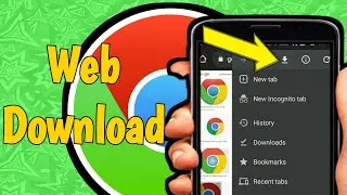 Download Website Data Permanent in Google Chrome l Google Chrome l Aashu Hub