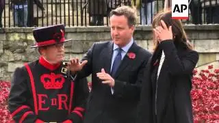 Prime Minister Cameron lays final poppy at Tower of London installation